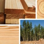 madera natural 